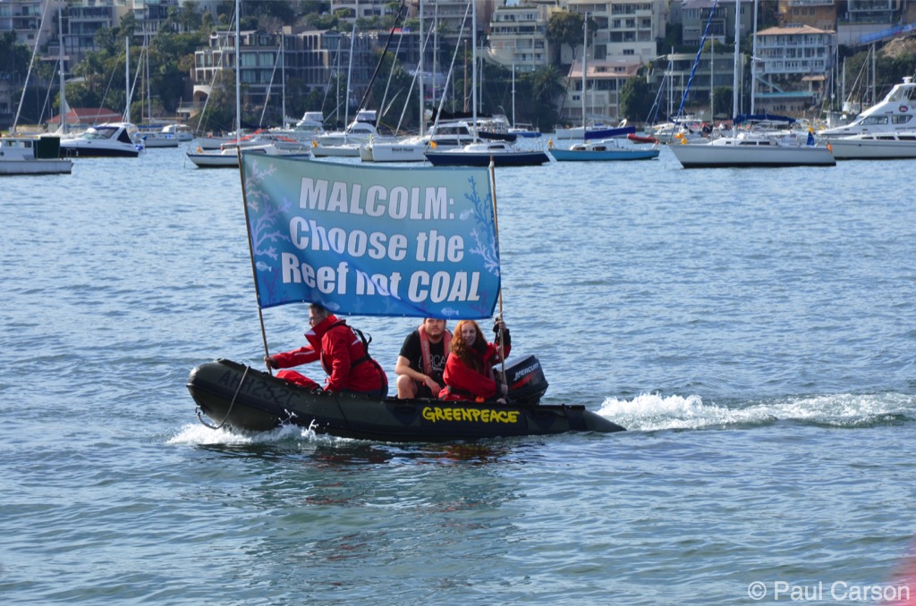 A Greenpeace boat passes the crowd on the foreshore of Double Bay.